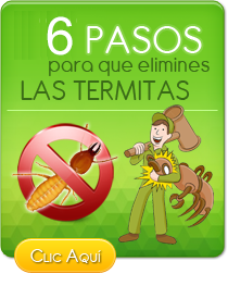 Eliminar termitas